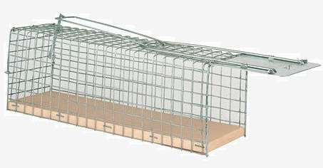 Pasti na myši a potkany