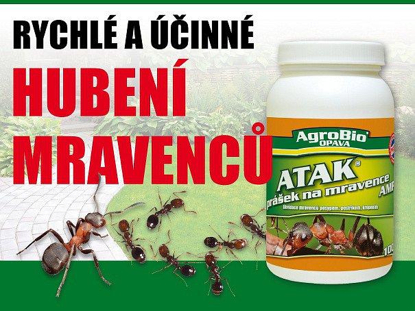 Prášek na hubení mravenců - 100g